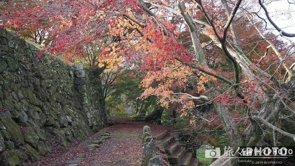 岡城跡の紅葉