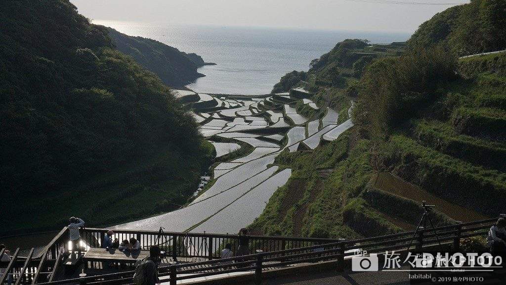 浜野浦の棚田17:00