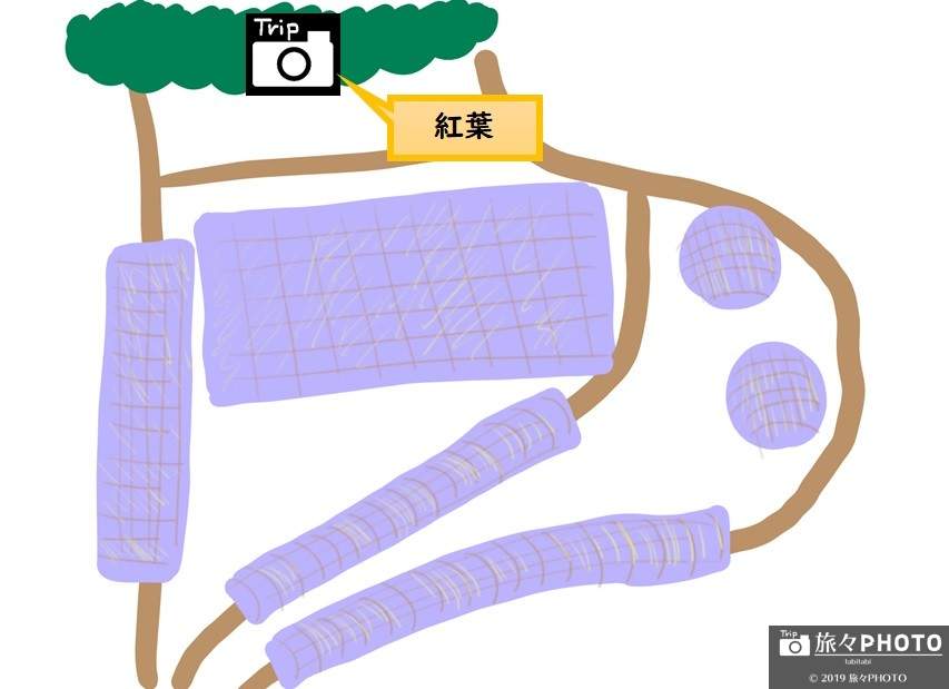河内藤園MAP-紅葉