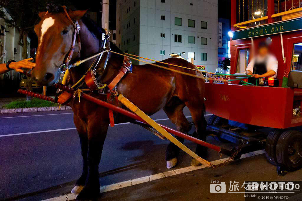 帯広 馬車BAR コマちゃん