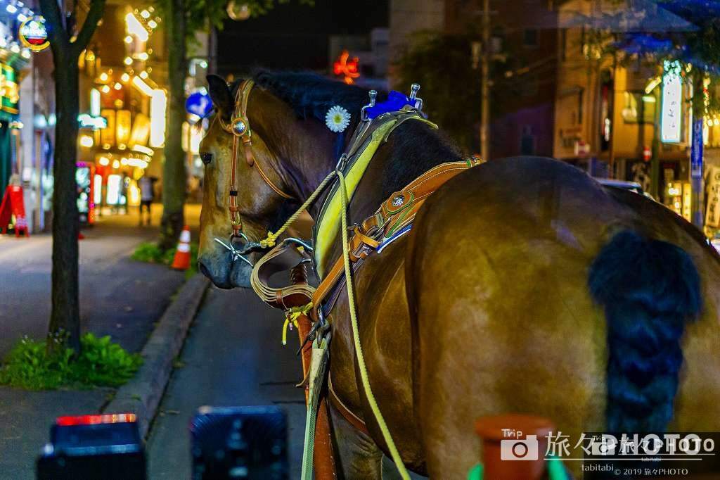 帯広 馬車BAR コマちゃん