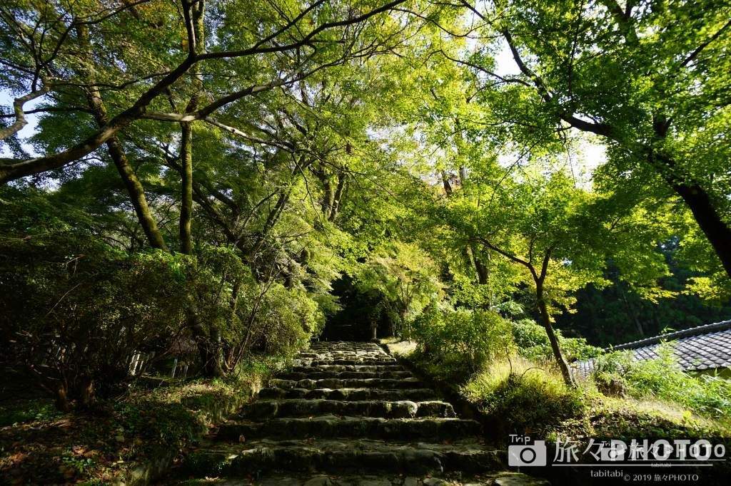秋月城の垂裕神社の参道