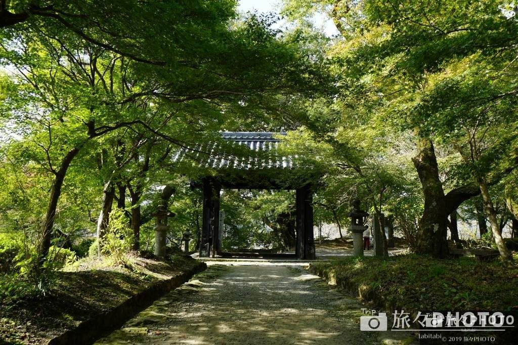 秋月城の黒門