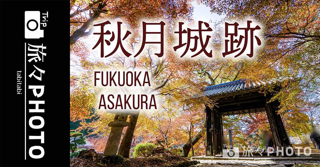 秋月城跡」で季節ごとの絶景を。秋は紅葉、春は桜。季節と歴史を