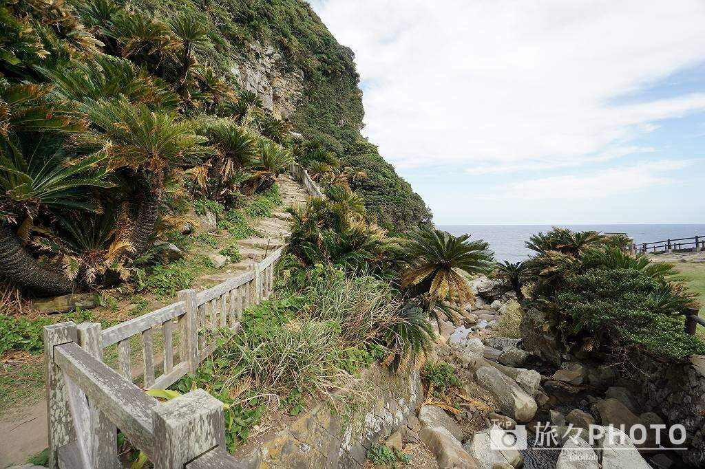 御崎神社階段