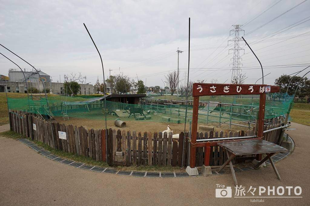 道の駅おおきのヤギ