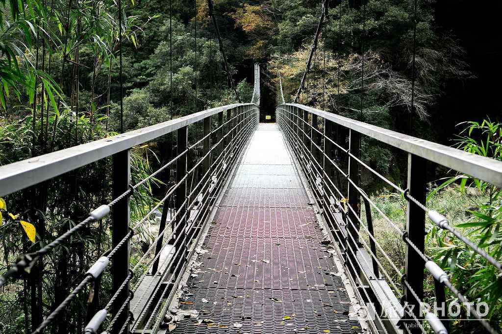 関之尾滝 吊り橋