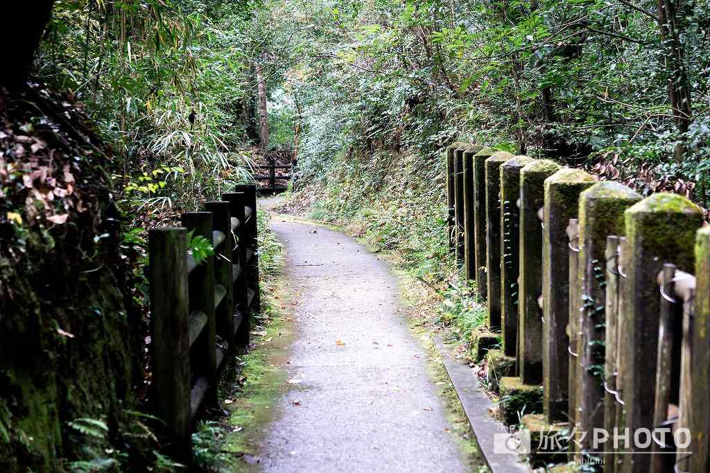 関之尾滝 関之尾甌穴群