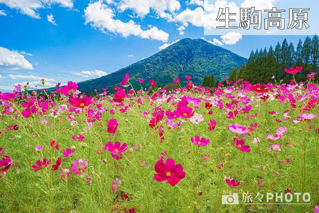生駒高原