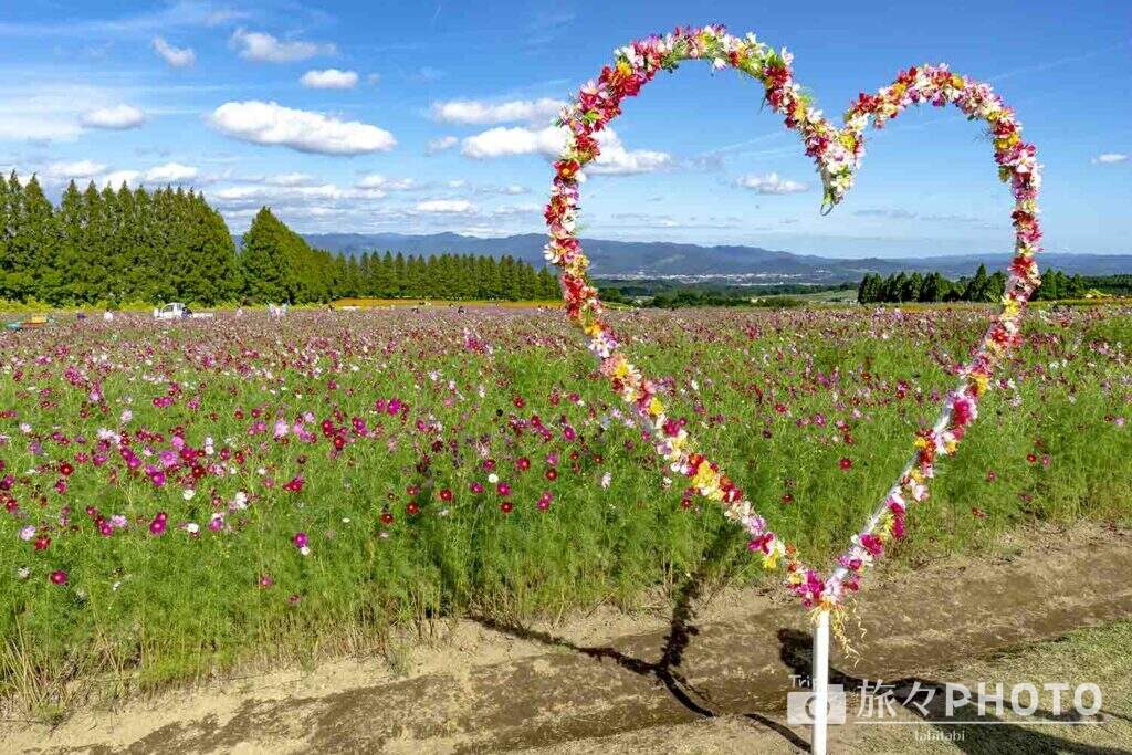 生駒高原前撮り