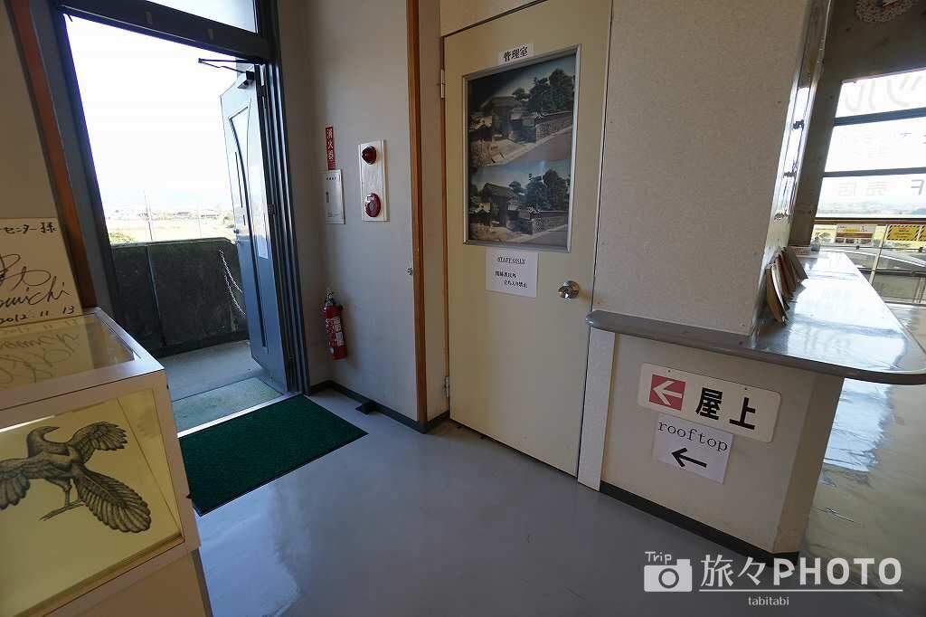 出水ツル観測センター 屋上への道