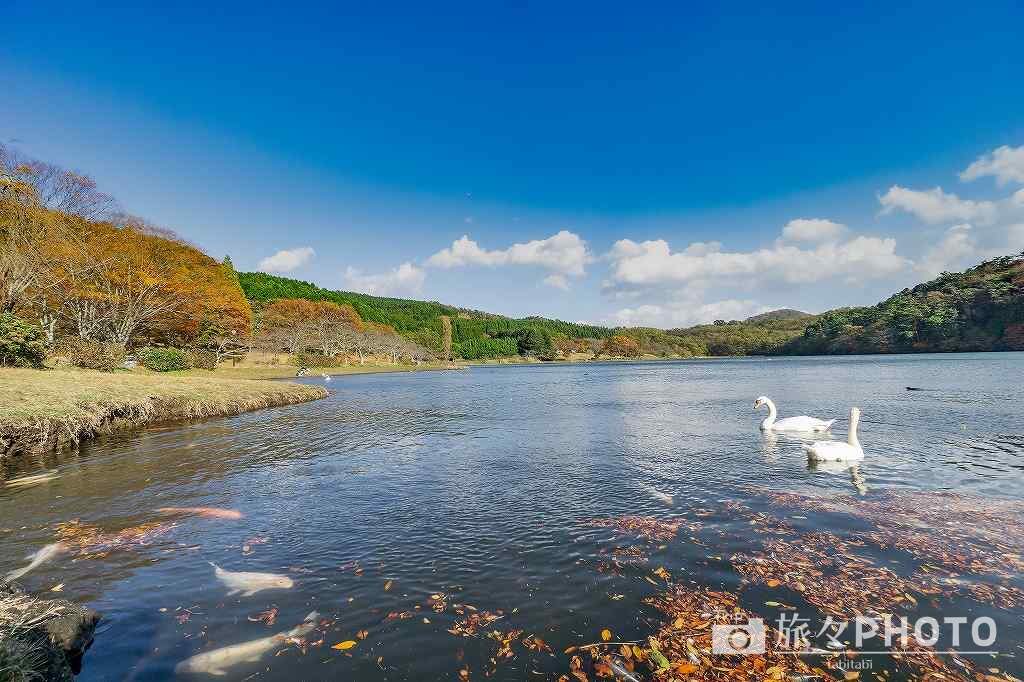志高湖
