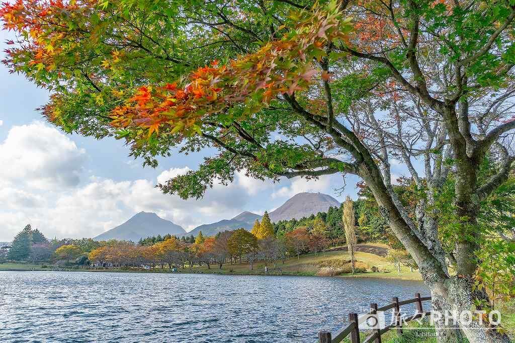 志高湖の紅葉