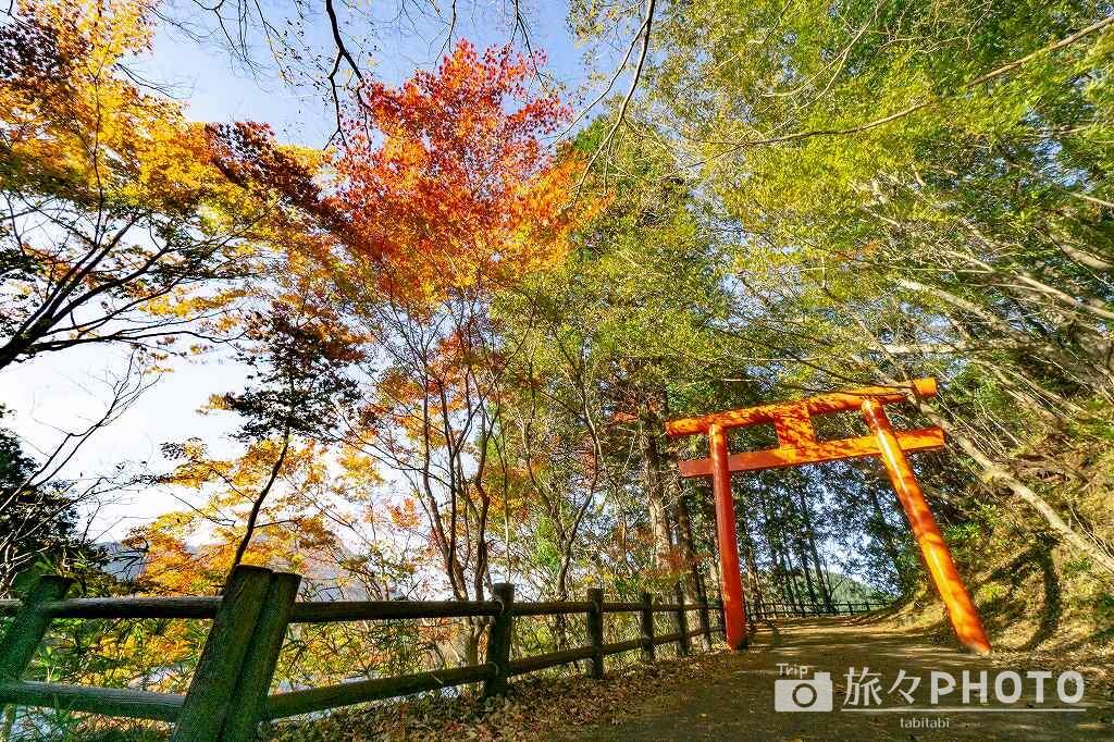 志高湖の紅葉