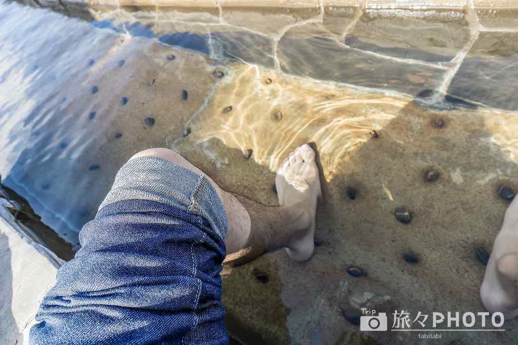 道の駅たるみず「湯っ足り館」の足湯の深さ