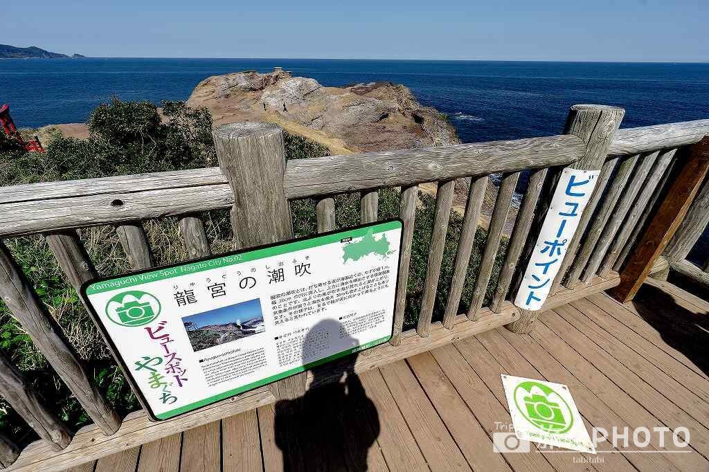 龍宮の潮吹 ビュースポット
