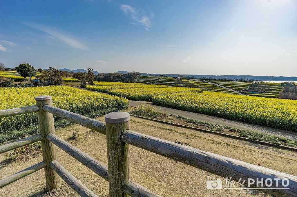 長崎鼻 展望台から見た景色