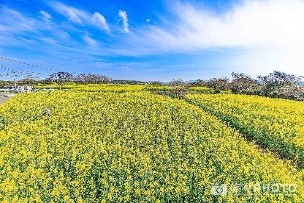 長崎鼻