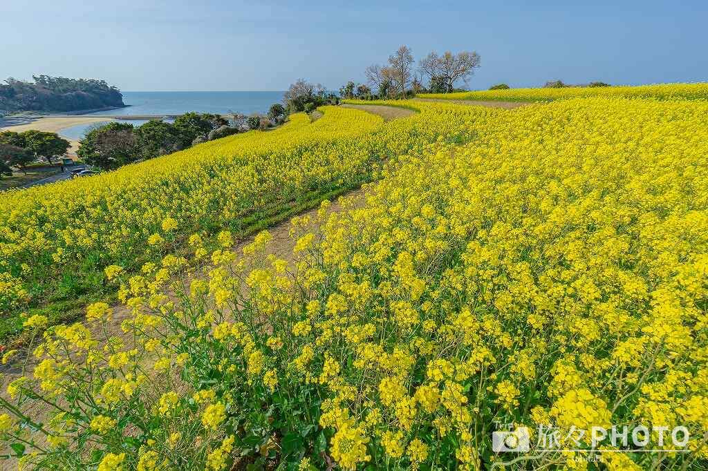 長崎鼻