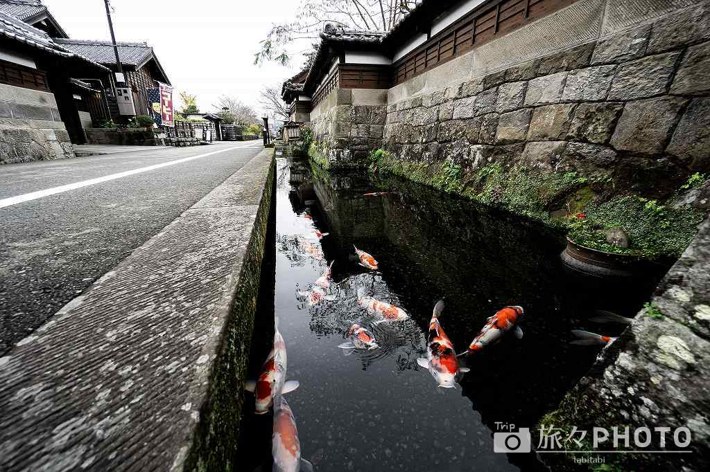 飫肥城跡 城下町