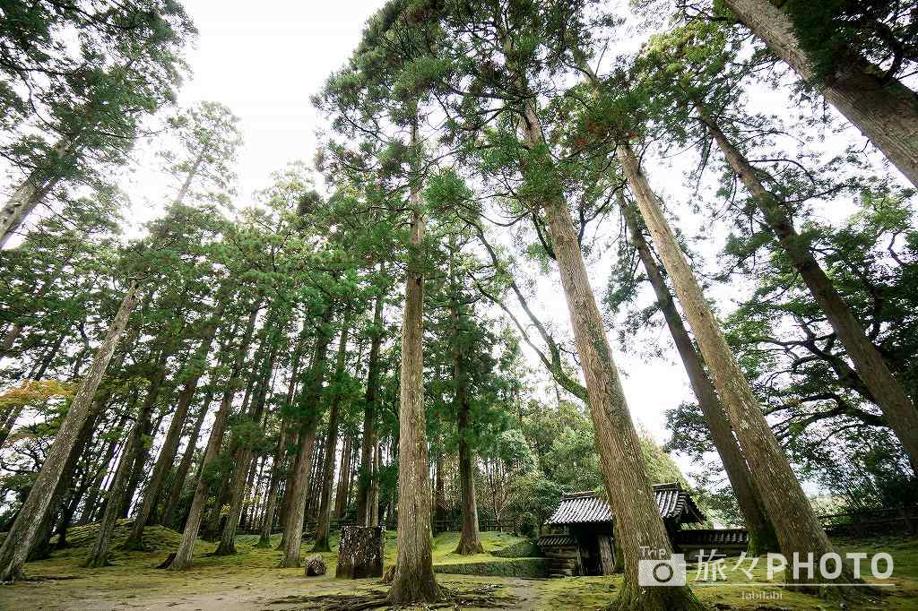 飫肥城跡 天守閣跡