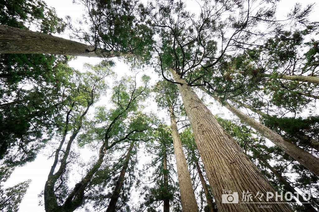 飫肥城跡 天守閣跡