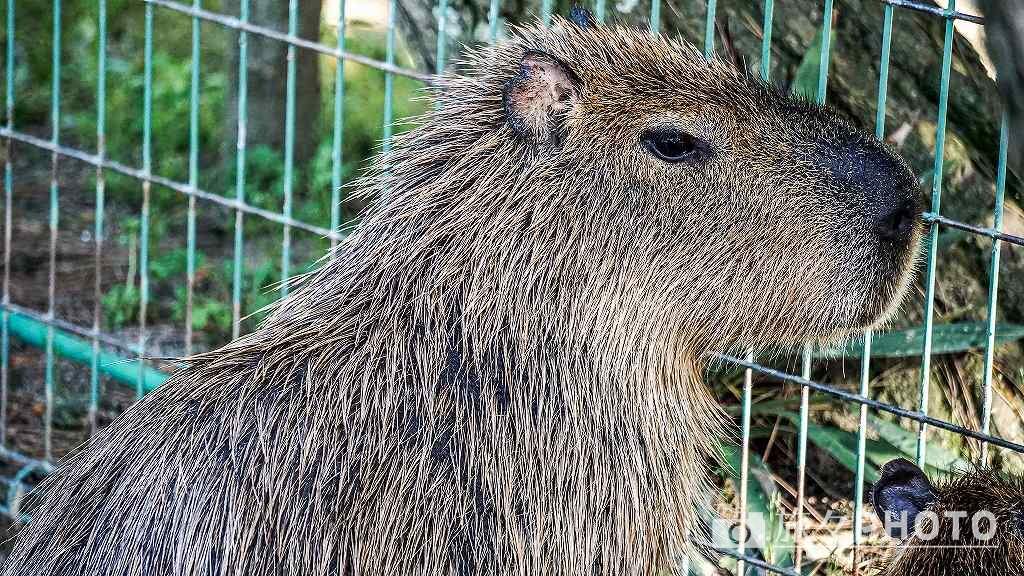 海の中道の動物園