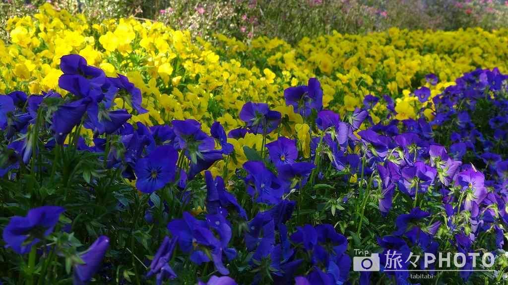 福岡市動植物園