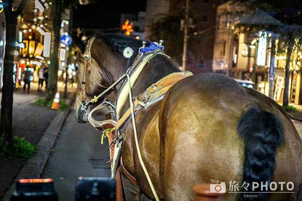 馬車BAR