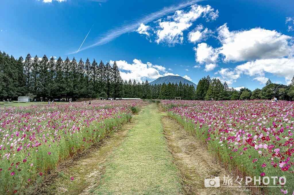 生駒高原