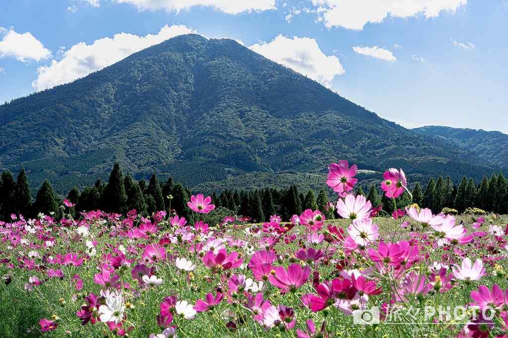 生駒高原