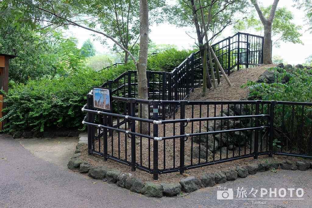 到津の森公園キリン展望台