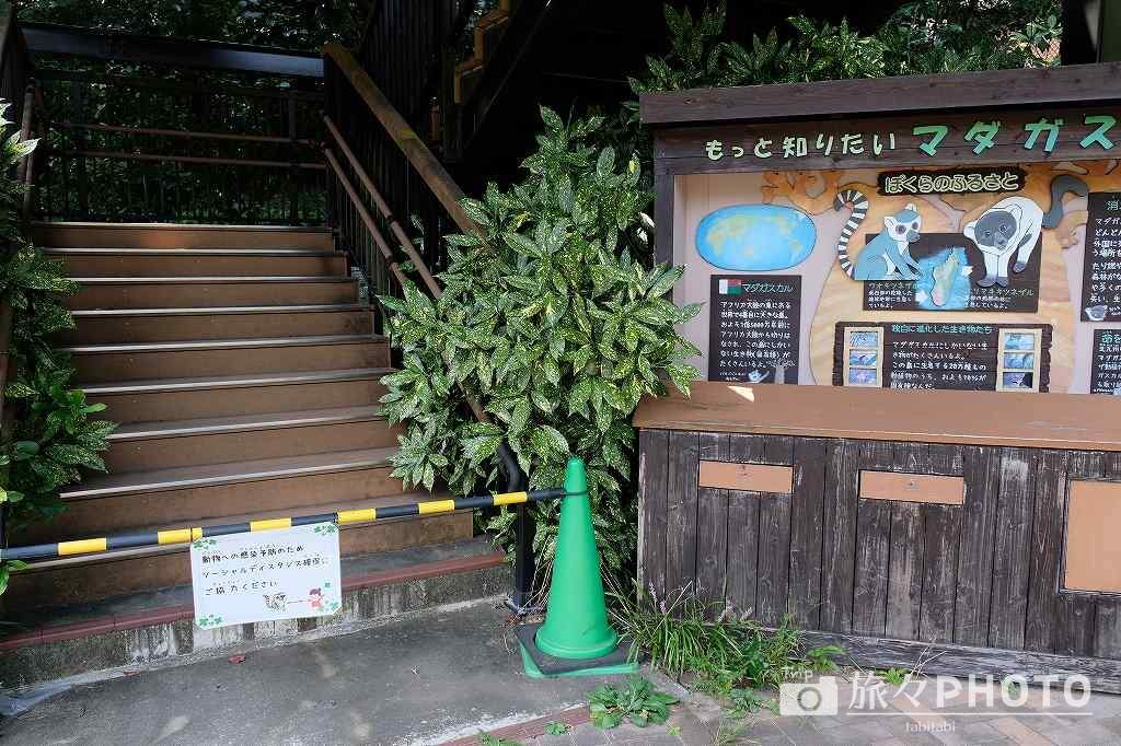 到津の森公園 コロナ対策