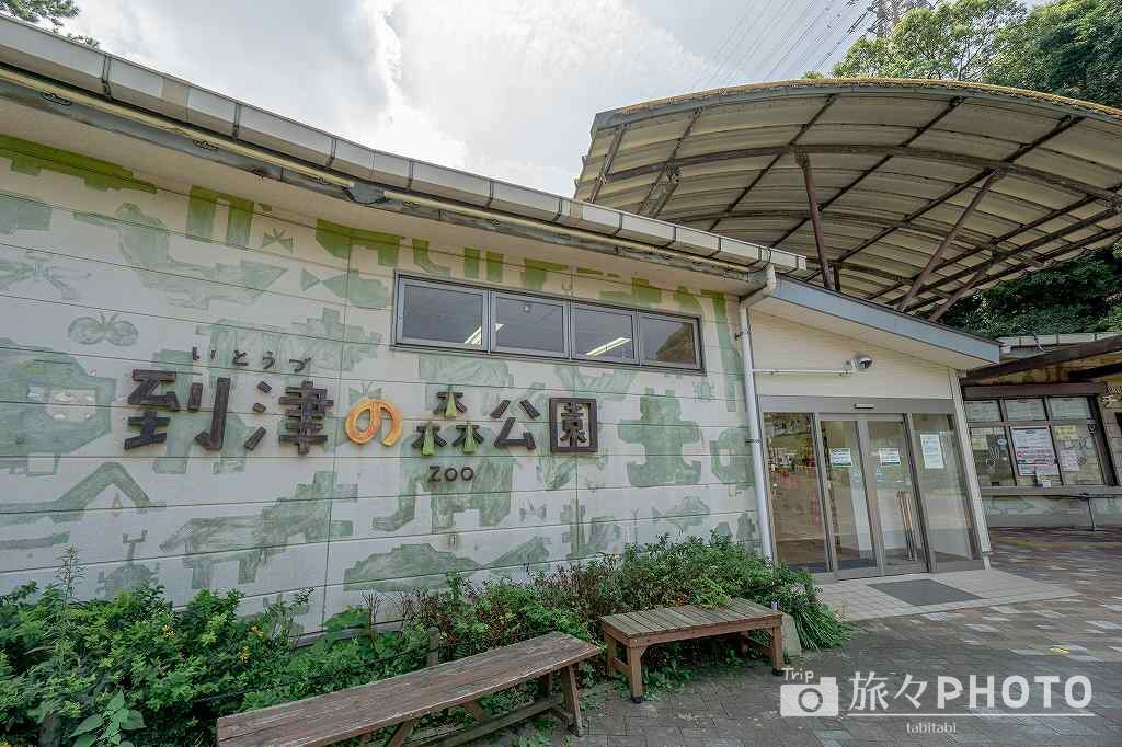 到津の森公園
