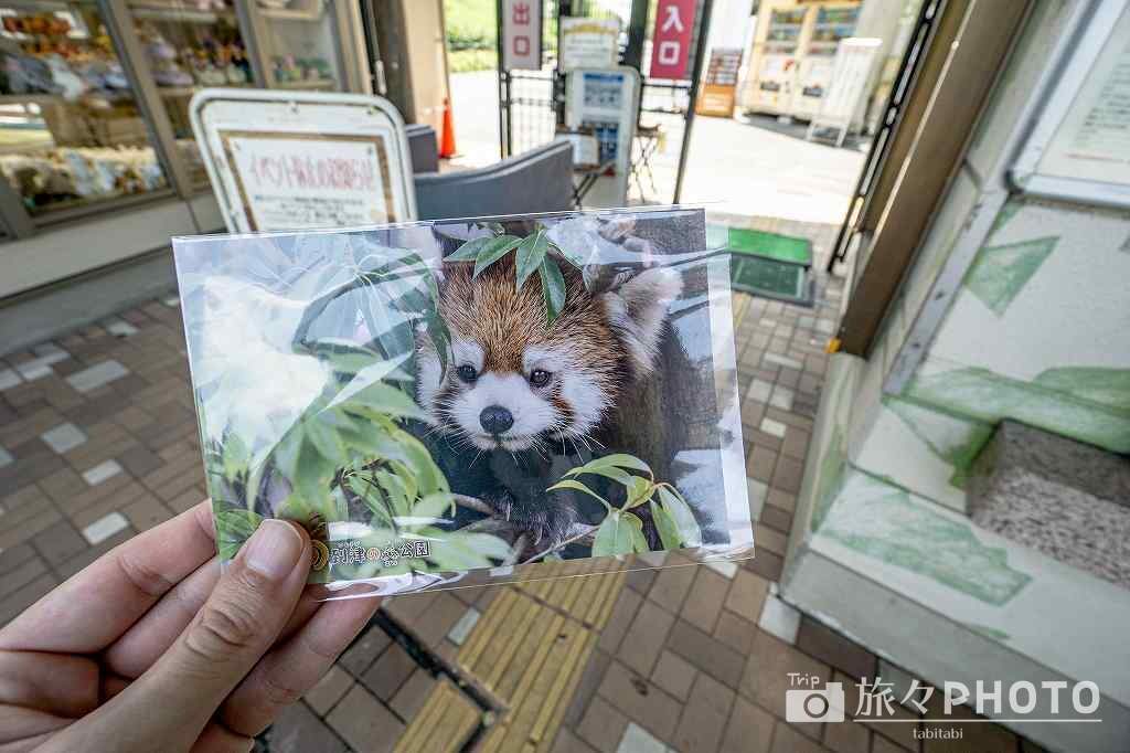 到津の森 JAF会員