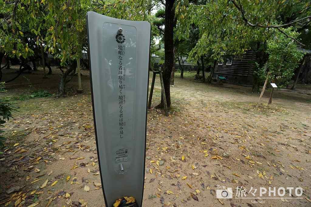 学びの道