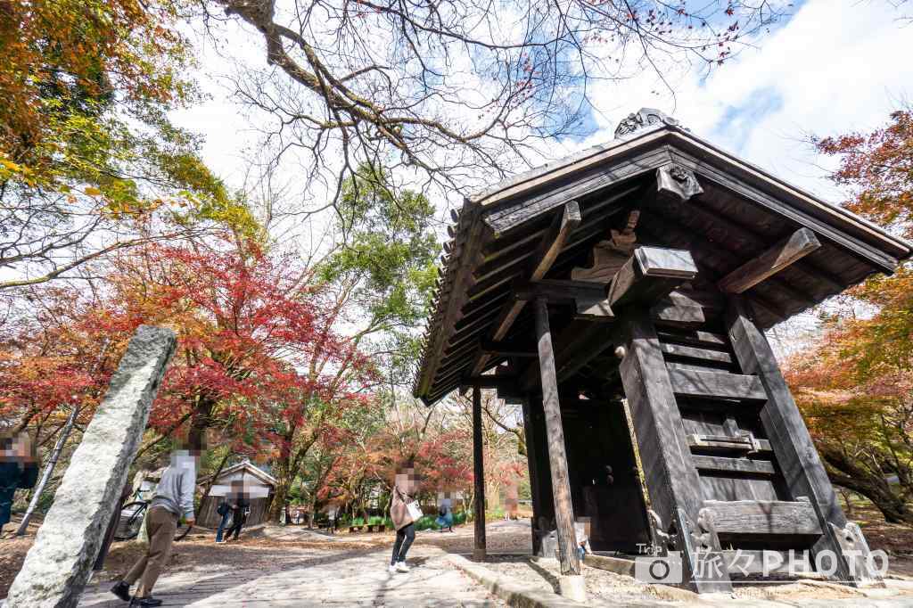 秋月城跡の黒門の紅葉