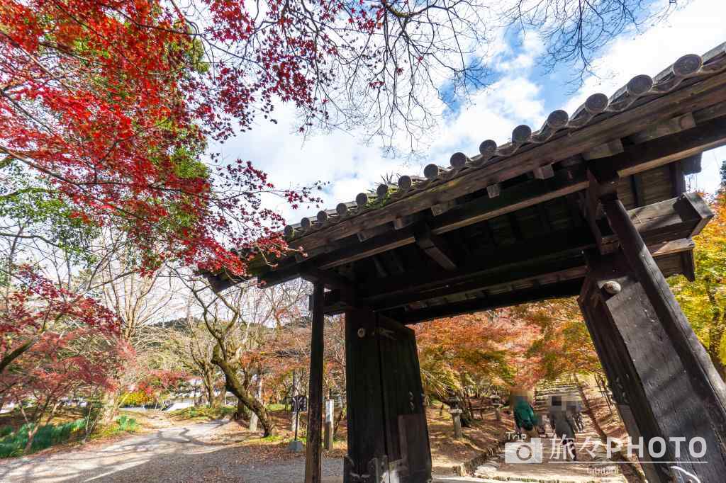 秋月城跡の黒門の紅葉