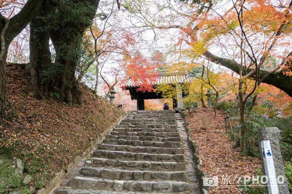 秋月城跡の紅葉
