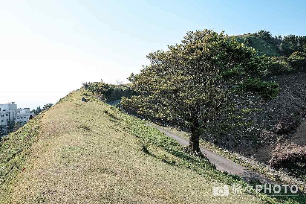 都井岬の扇山の展望台への道