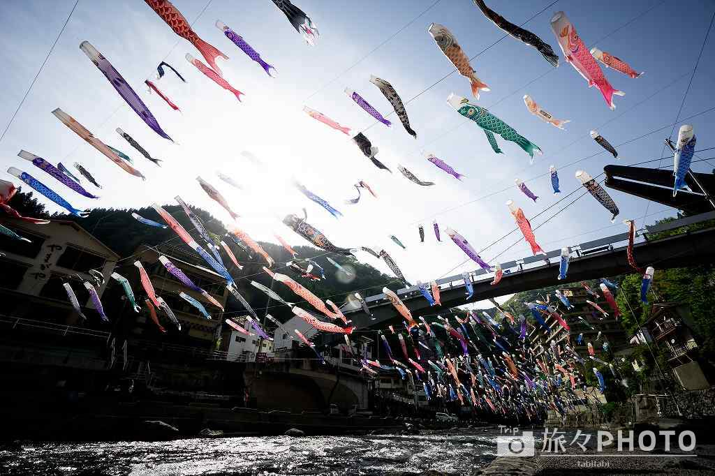 杖立温泉 鯉のぼり祭り