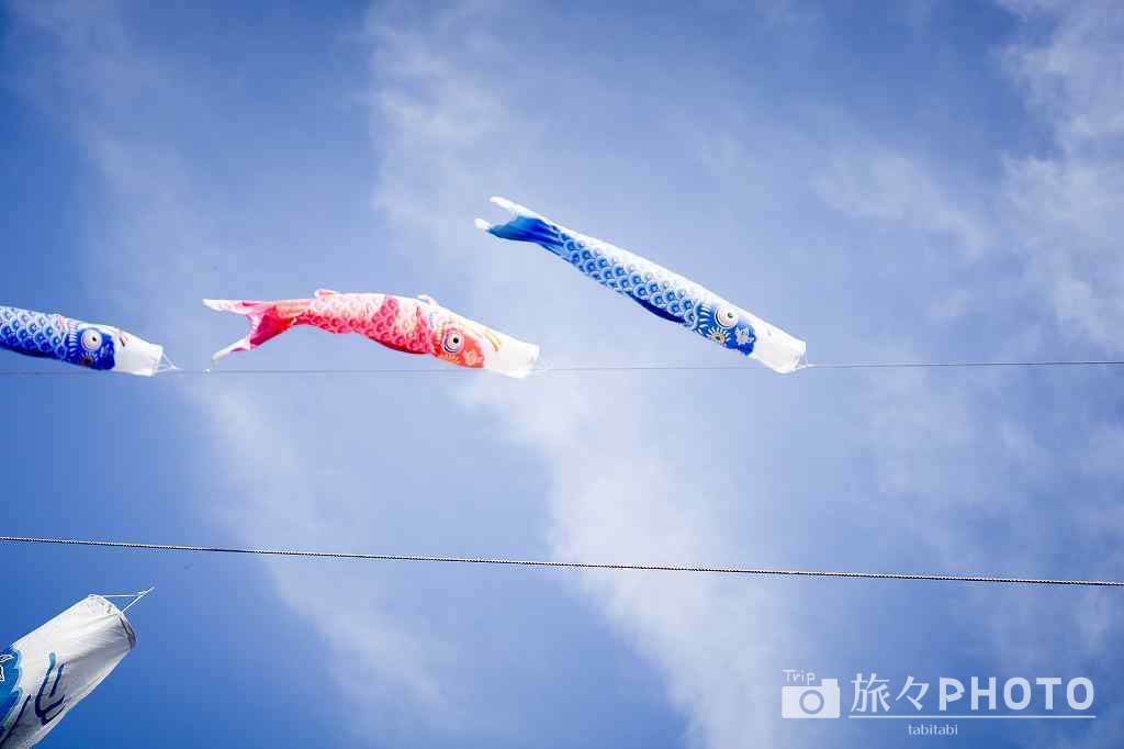 杖立温泉 鯉のぼり祭り