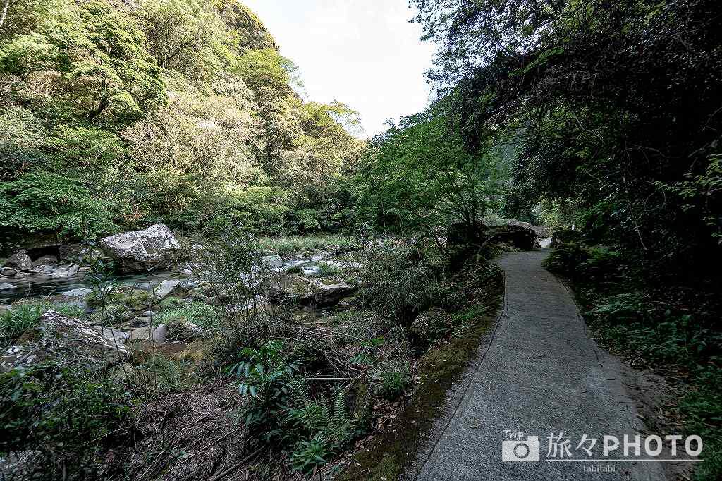雄川の滝の遊歩道