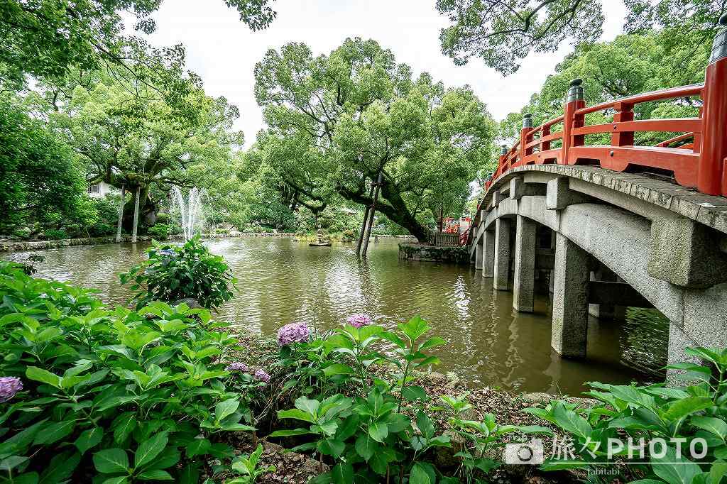 心字池と太鼓橋