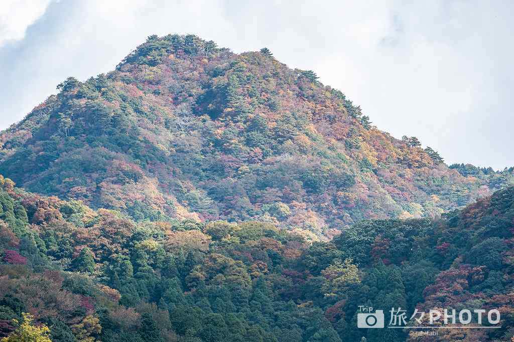 猿飛千壺峡の遊歩道から見える紅葉