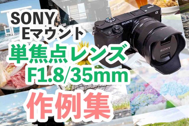 ミラーレス一眼 「SONY α6000」「単焦点レンズ SEL35F18」 - デジタル 