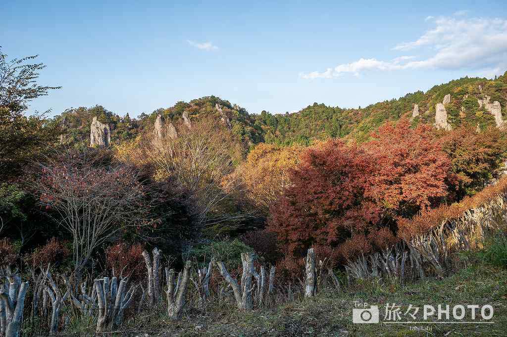 立羽田の景の紅葉