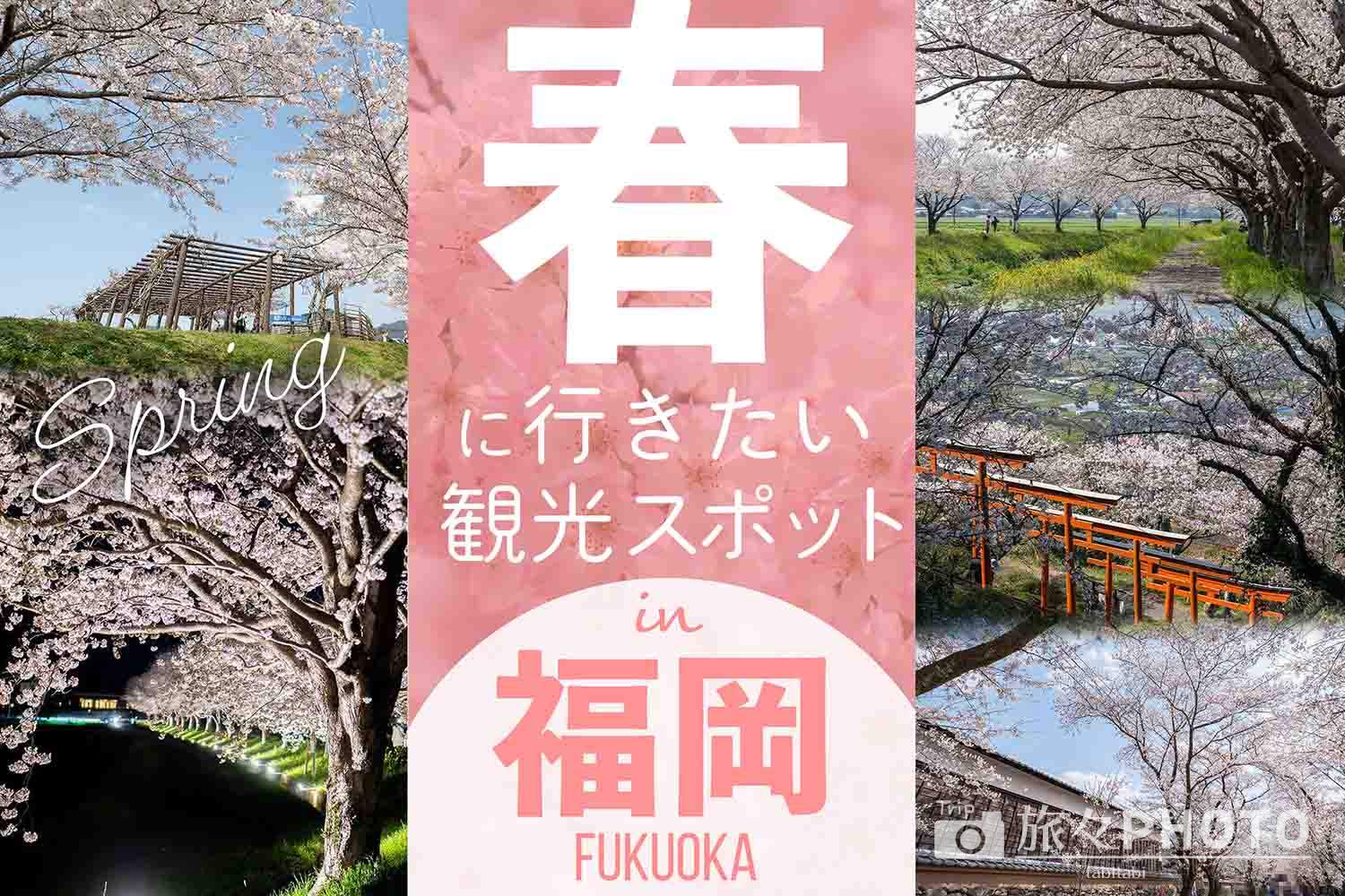 春におすすめな福岡県の観光スポット