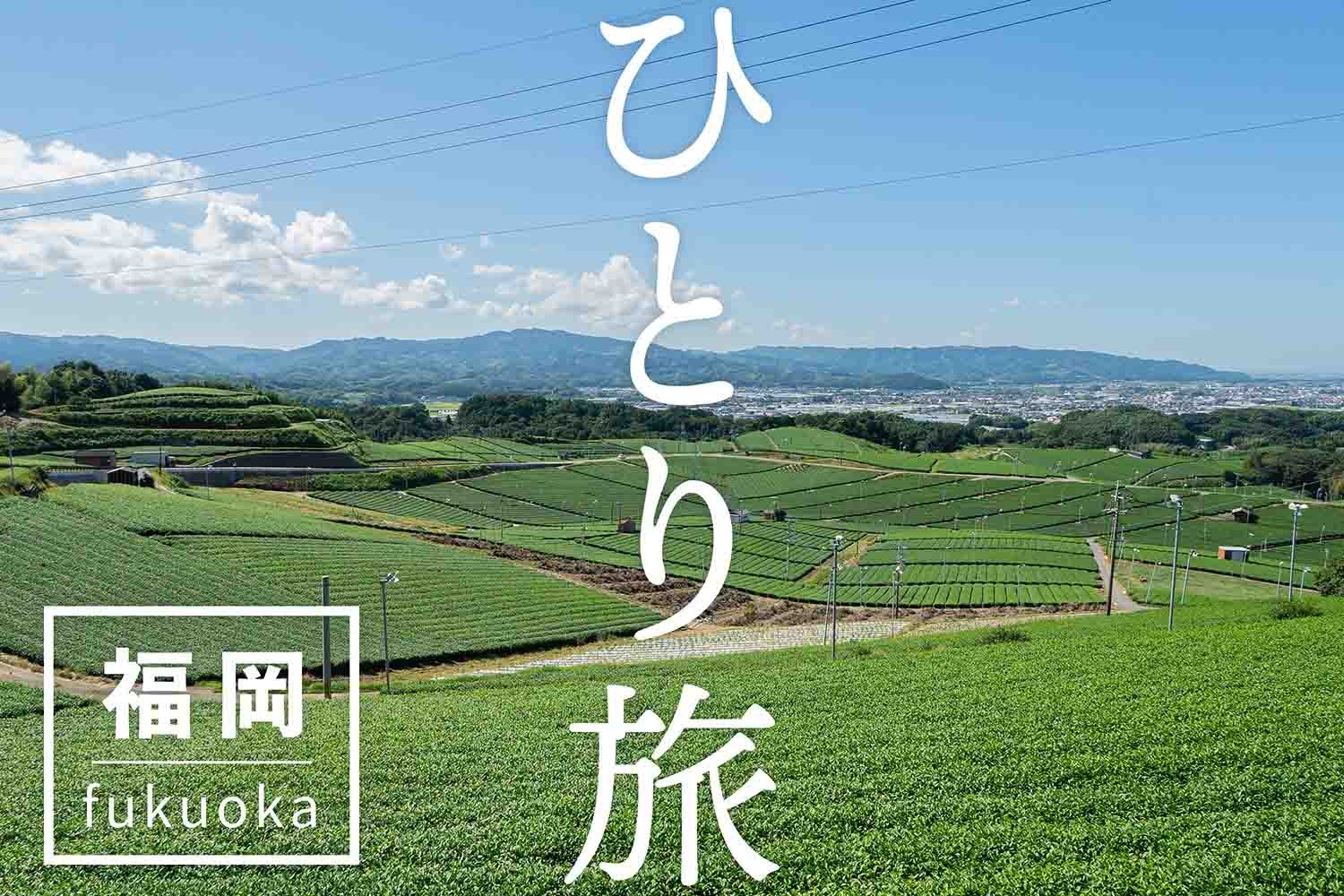 「ひとり旅」で行ってほしい福岡県の観光スポット