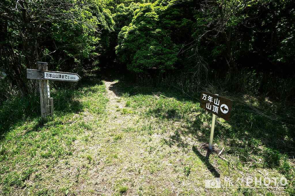 万年山トレッキングコース　御花畑鑑賞コース はなぐり登山口